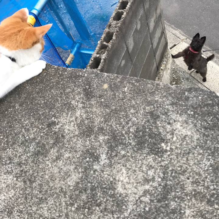 42d90293 3188 4477 be6b 6c3ca77f65a2