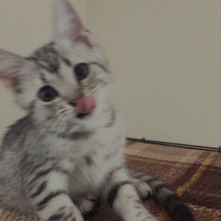 42d938d7 b46c 4a1d 8383 aa89393deb5b