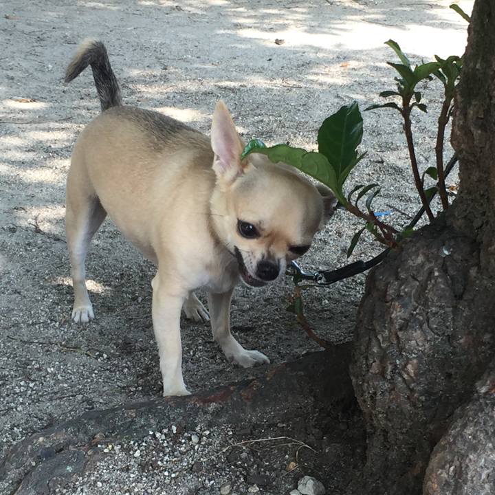 42d9549f 3506 44c4 abee fd3d410782ca