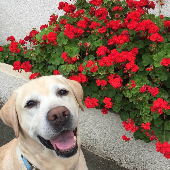 42d9c0bb c867 4388 bd86 aa800f482b15