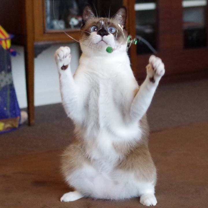 42d9e166 4ae3 402a 856b 6935d8162ca5