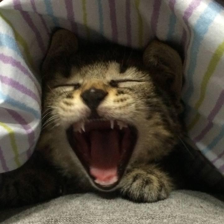 42da6049 330a 49e5 bd6f 1a6d7d0dc05a