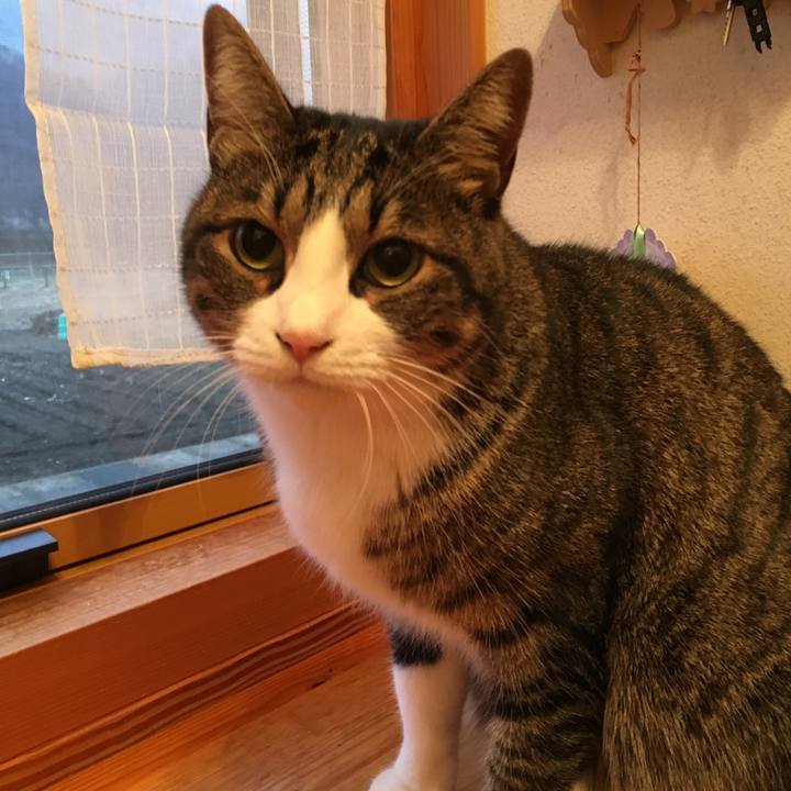 42da958b 4b7a 45ed ba7a 30de5b7f5031