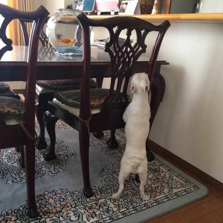 42daa1a7 f2a3 46ab 93ba abdbeb0735d3