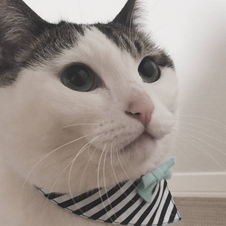 42daaedf a401 413f 884a 4faeba4ce24a