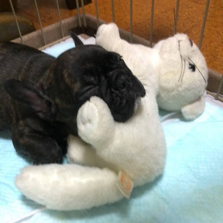 42dabb23 8f8f 45f5 ab28 993c5c29d77f