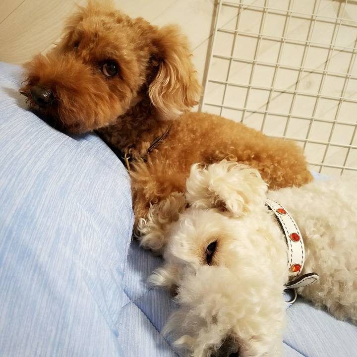 42dac6ea c8ed 49d2 9212 7a1b6b5d80f1