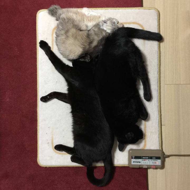 42db694a e62d 41ec 9d2d 13e6461bc2de