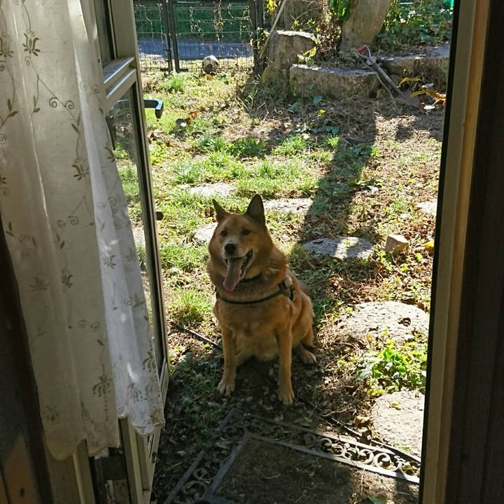 42dbfd5d 7c83 442b b42e c733f5cce8a6