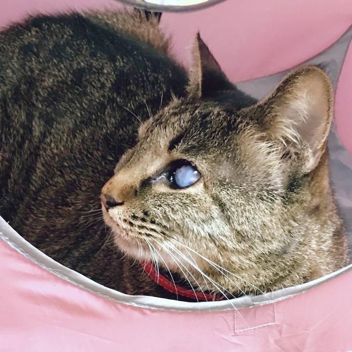 42dc4df8 36b5 4dd5 ab89 a77a6c44cd76