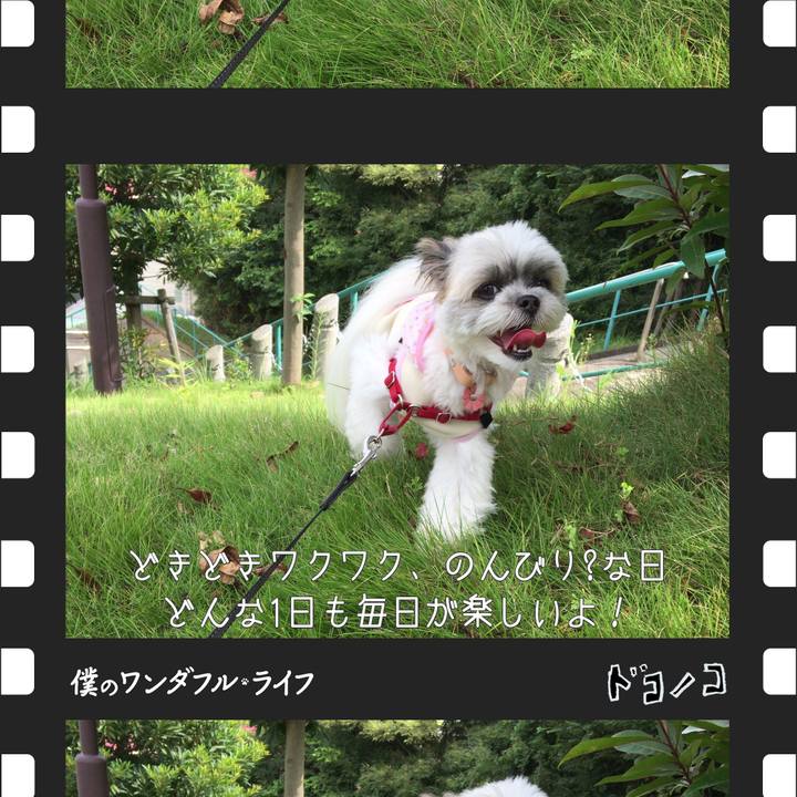 42dc5946 f12f 4a47 866a a87e85d7a904