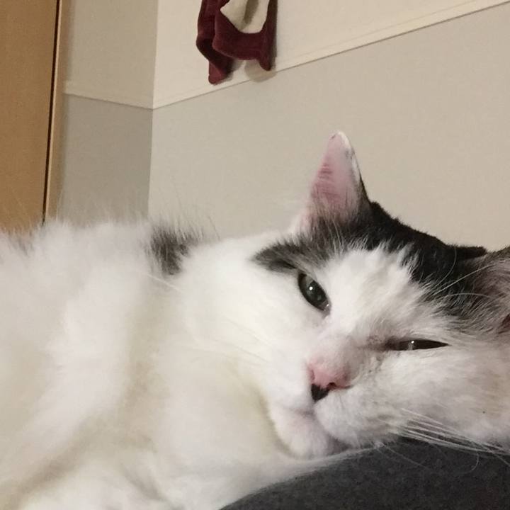 42dc677c cc6b 455b b3e3 d9afc9c4ac16