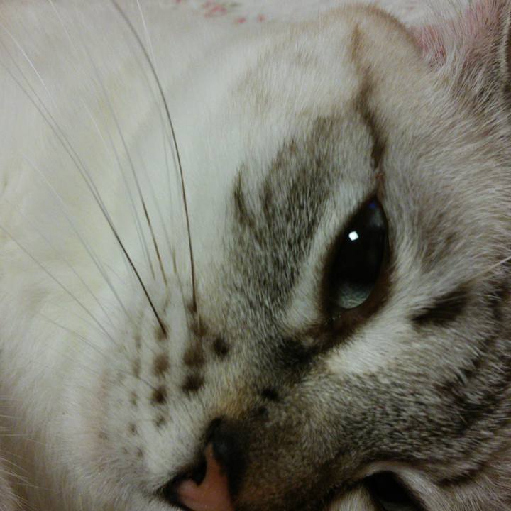 42dca138 f3a2 40ac b842 89c958a6c9ae