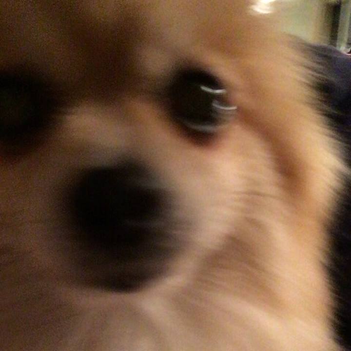 42dcc174 a85c 4247 bc39 ff606cb1a4aa