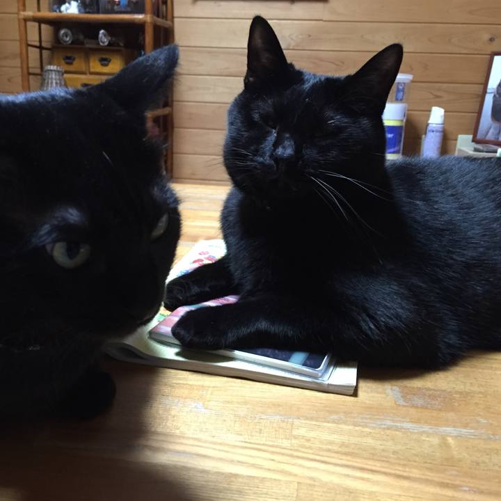 42dcec3d c051 4937 be16 14b7a9276c13