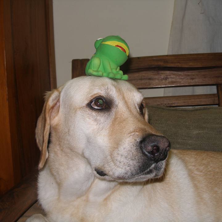 42dd0917 9de2 4ffe bb64 1ec14f6e07cf