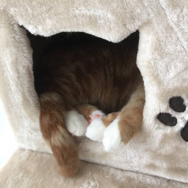 42dd6835 1efe 4528 a26b de0925b79c0a