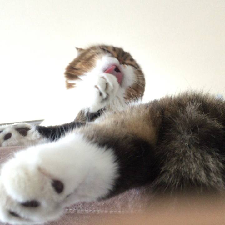 42dd7512 deb5 4568 933d 342889c967a8