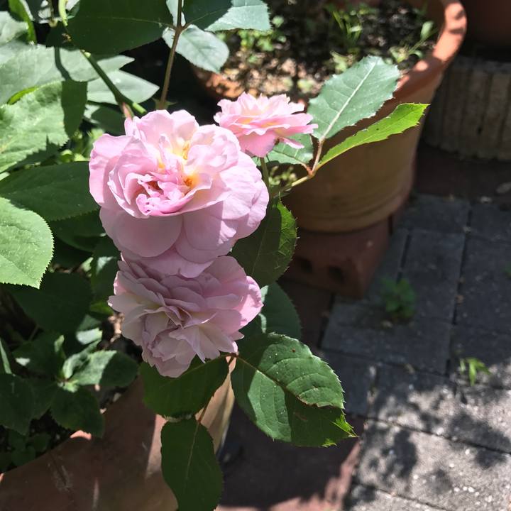 42de01f9 b537 4d83 93f4 af9b18355a2e