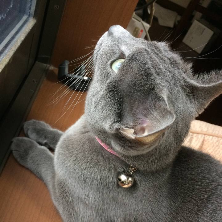 42de3eb0 0daa 4543 9487 408fffd15b2c