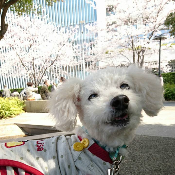 42df352e 41bc 4ee4 8a23 3651c37c6ddb