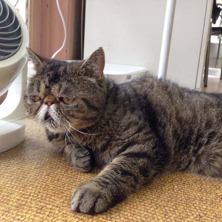 42dfa222 8235 4172 9b8b 57656a10bb6d