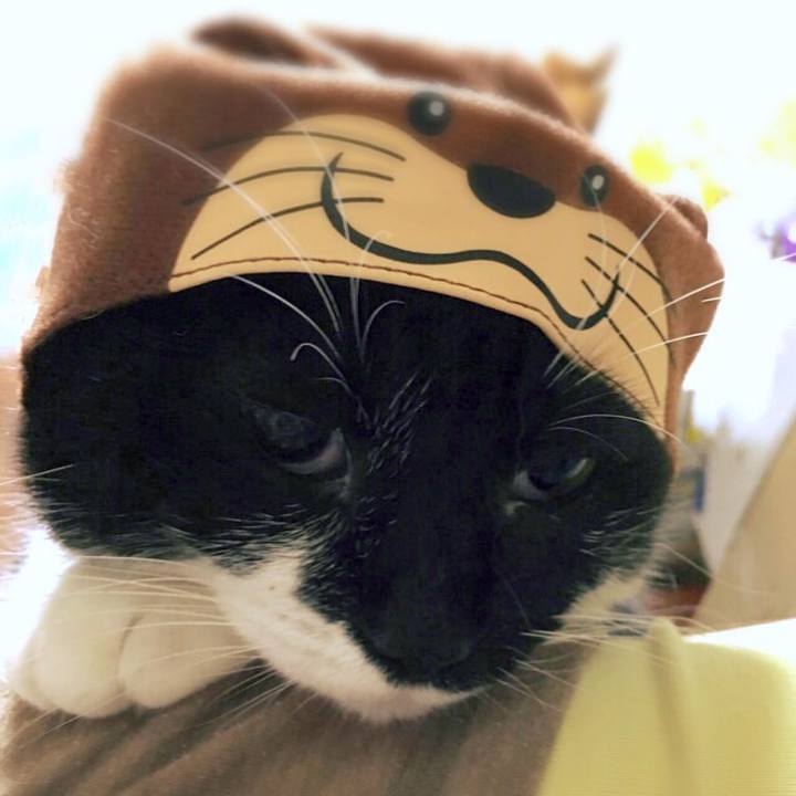 42dfa845 502f 4d30 87f3 a57d571031b7