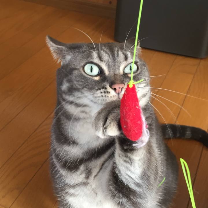 42dfbd32 3c77 4025 b6df cbd6198353f6