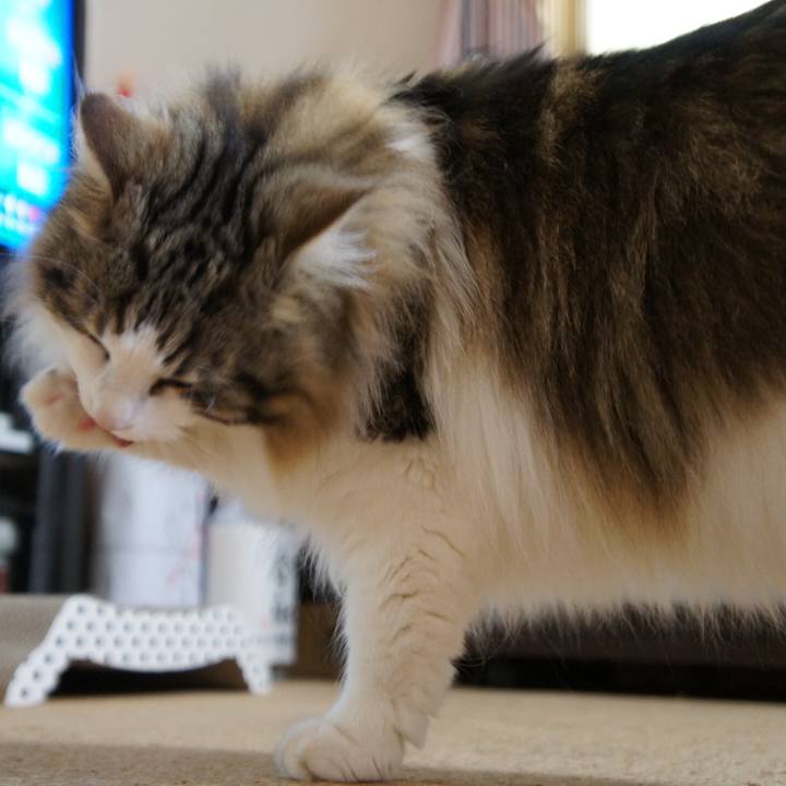 42e01862 4149 42ff bac9 4c1be248c131