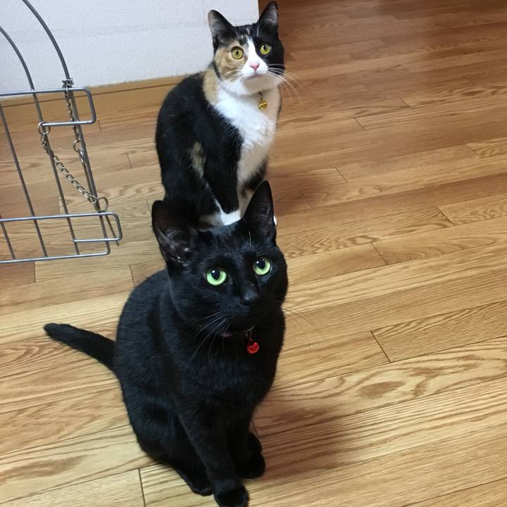 42e054ea 1ecc 4e31 a4a1 f08e105bb331