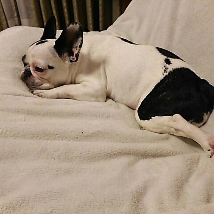 42e097d0 148c 4890 93ff 0644324a4cca