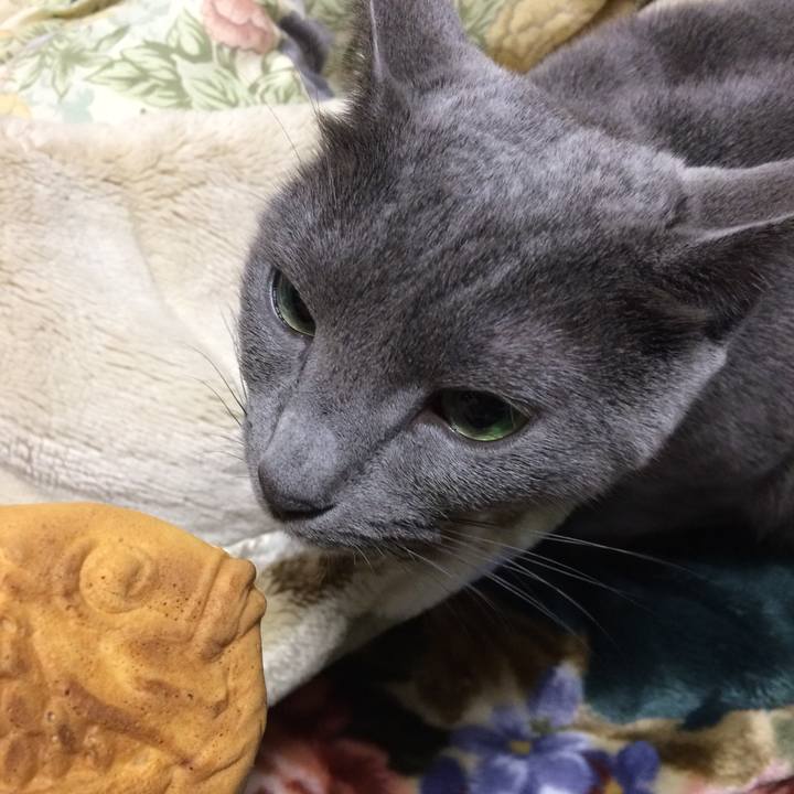 42e0b516 3c26 49c1 9747 f026ac1da5e6