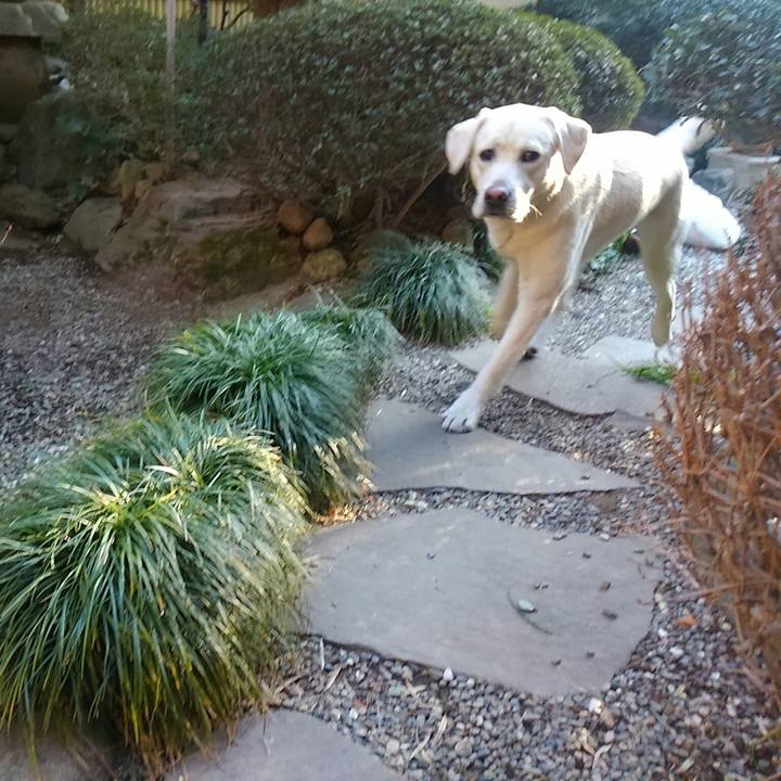 42e1055b 8441 4893 a8ce 18722e60705a