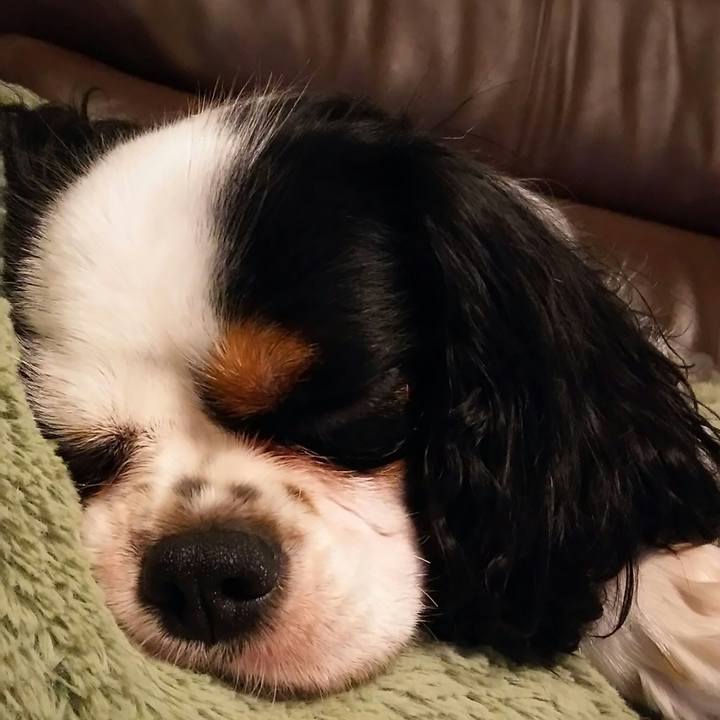 42e24216 261b 42d2 824f 89f7be39ebee