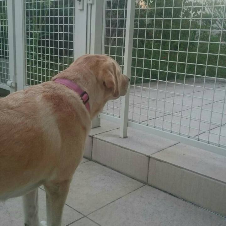 42e24eb9 bdee 46cc b708 9a077f4b6c99