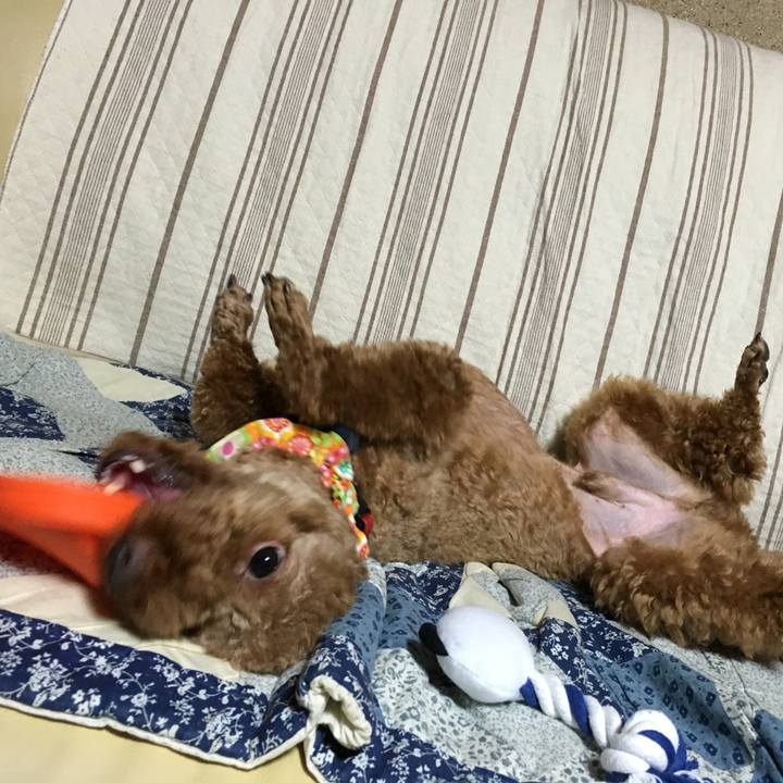 42e25729 0ea0 4e58 b872 e588a405ec03