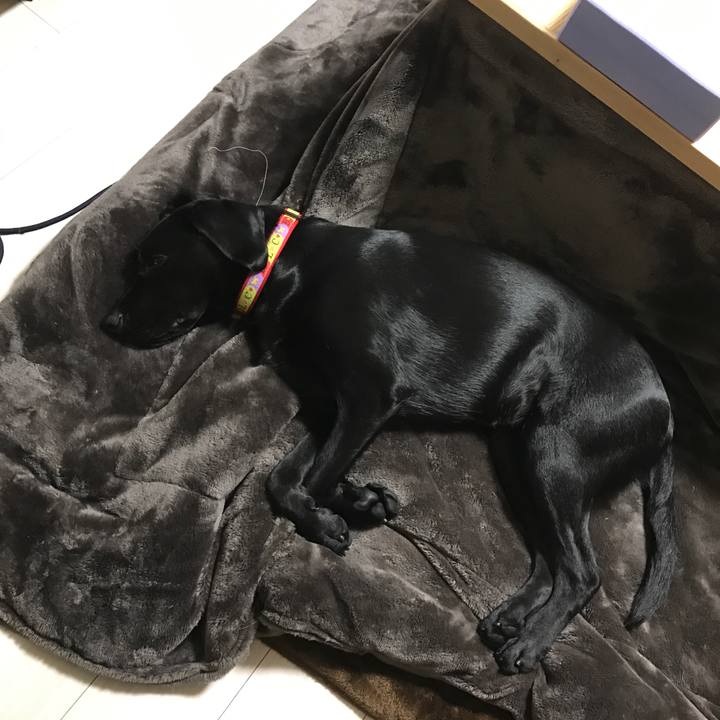 42e2abde 228e 4f95 bc55 81ef33e160c0