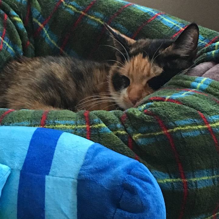 42e2f83c 42cc 46c8 bd84 a0b2e304acfb