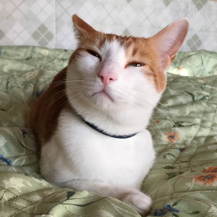 42e345e3 cdcf 476d 842d 86524c69d3fc