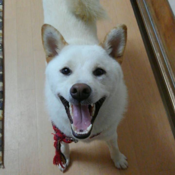 42e3b706 5968 4c3c a4e6 368573fd5112