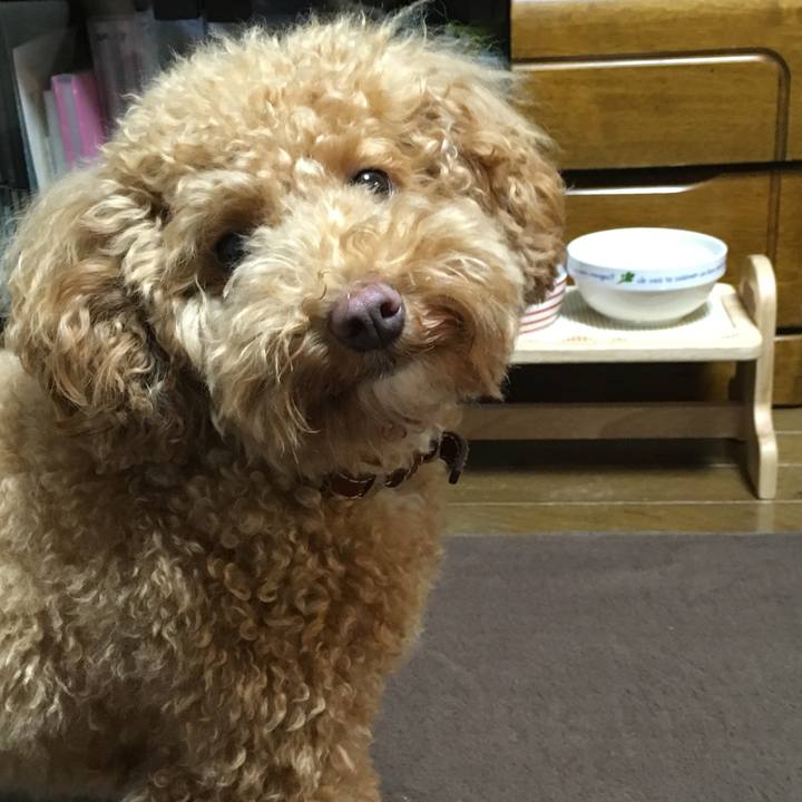 42e429d6 59c6 414a 9a9f 3eaf6c9076f9