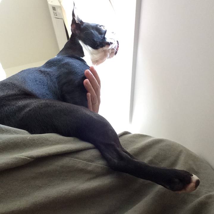 42e449fe 278f 4c17 a7bd 81b09e6fa6f8