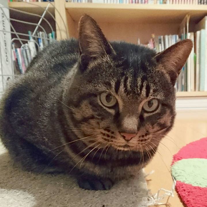 42e48c7b b7e7 4ebf 9ccd c96244e2aa67