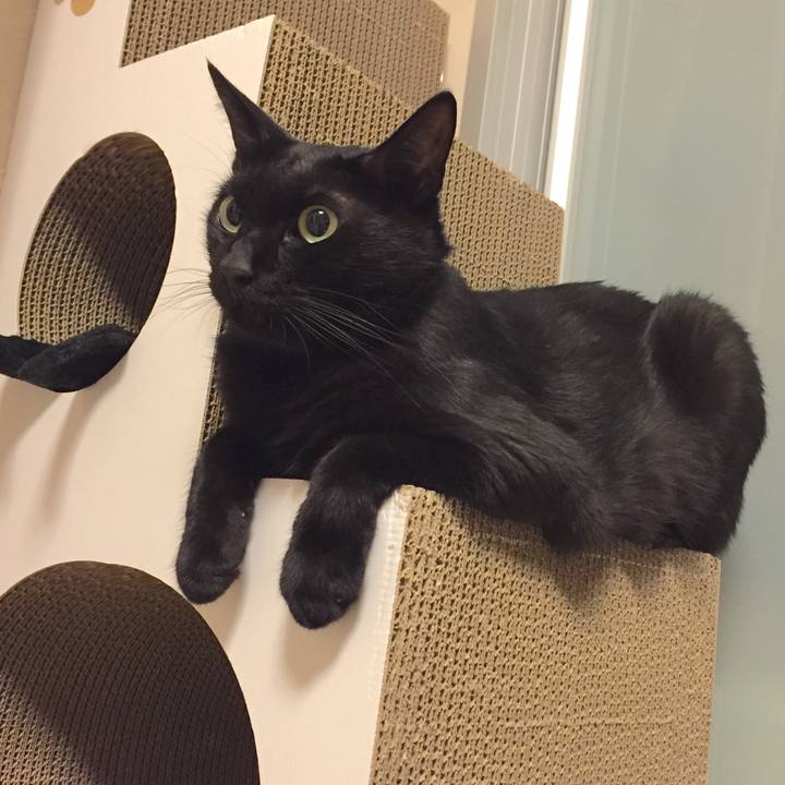 42e49289 afd3 4f03 be4c 2758ab3f7e35