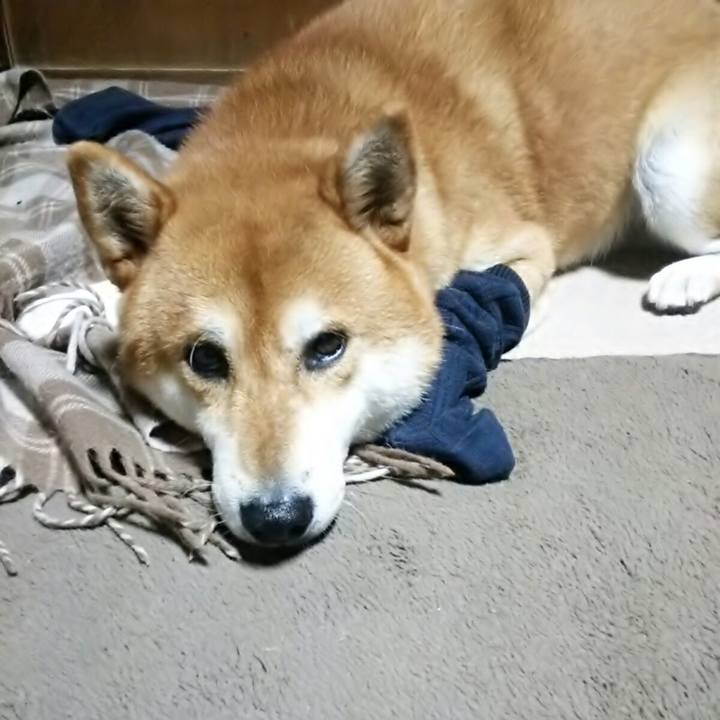 42e505d9 50b4 4971 81ee f1f4601ae08f