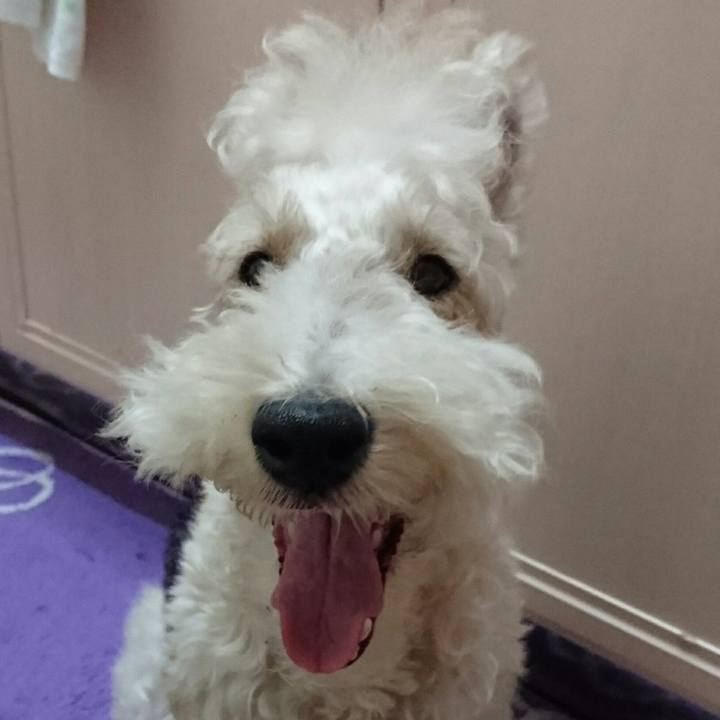 42e528ec a435 488d 9ff5 2239747ae87b