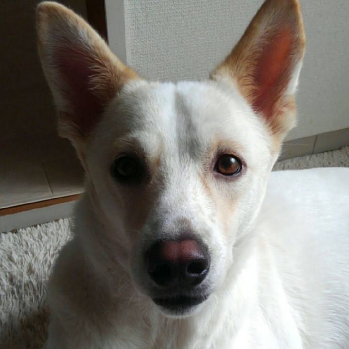 42e54503 277a 4a68 9cb5 224aff82454f