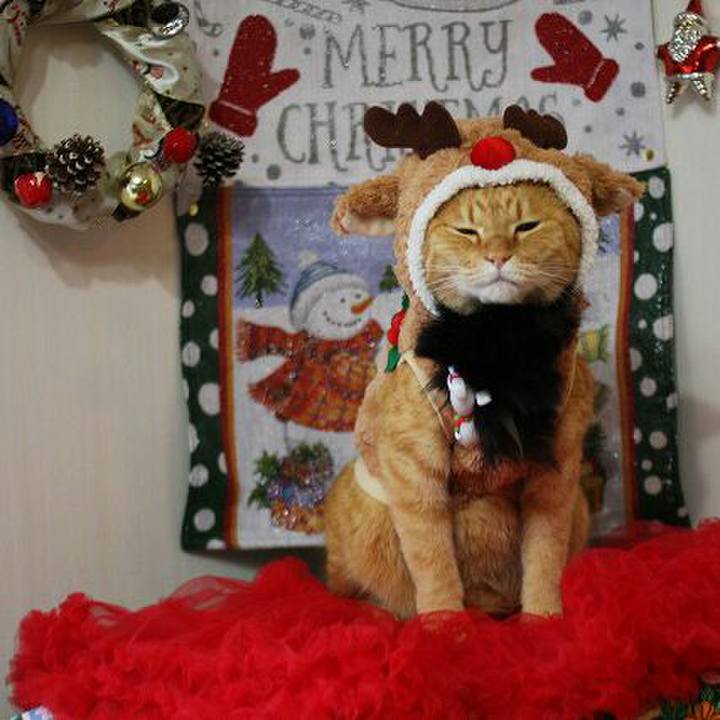 42e5a0df 3846 4295 94cb 1d80c629b3e8