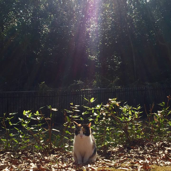 42e5b831 79b5 4044 a3a0 6973ec0d5303