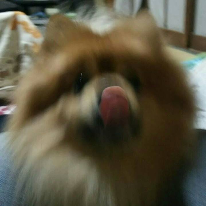 42e5e597 8fdf 45f3 a4e1 f228cd5f79a2
